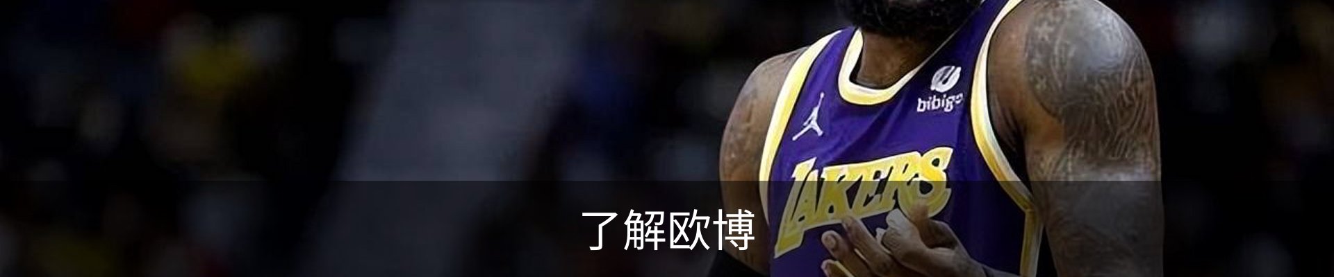 了解欧博